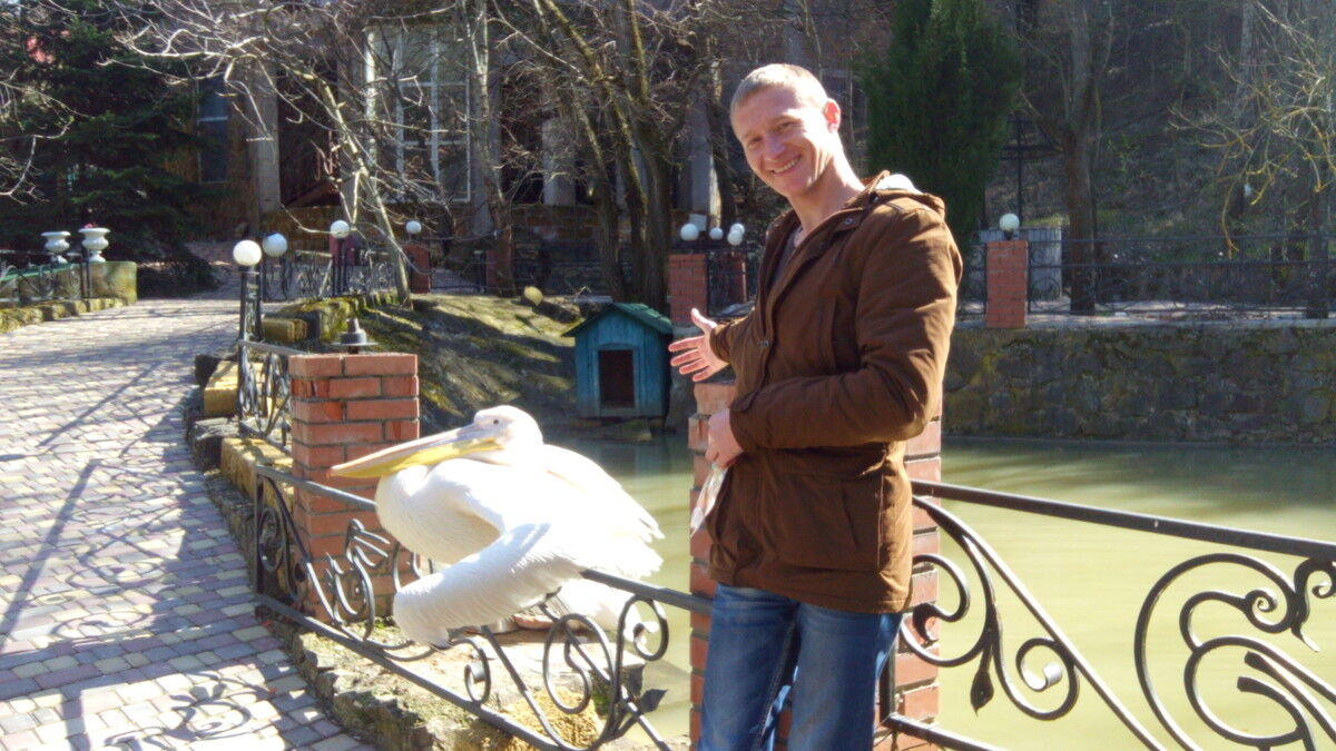 ���������� ����, ���� ������� ������, 38 ���, ������������ ��� ������