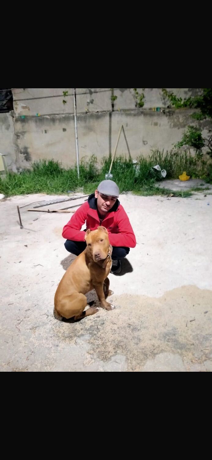 ���� 45426944 ������� ���, 28 ���, ���� ���������� � �������-��-����