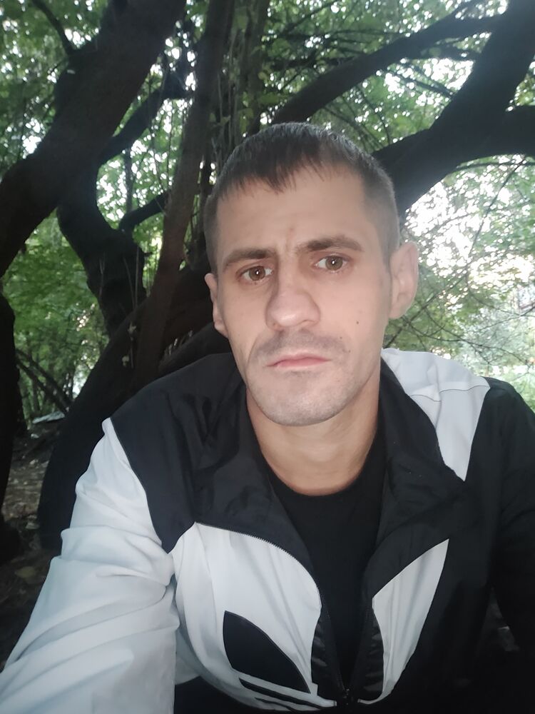  53386184  , 32 ,    