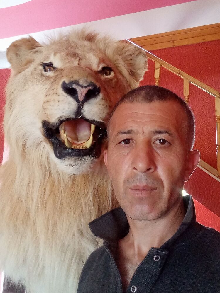 ���� 46951474 ������� ����, 44 ����, ���� ���������� � ������