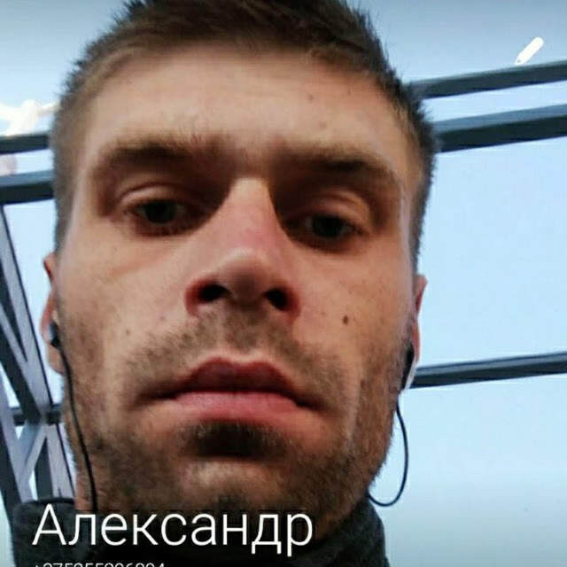  17645924  , 38 ,    
