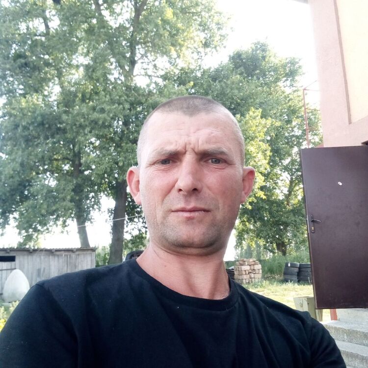  45818154  , 41 ,     