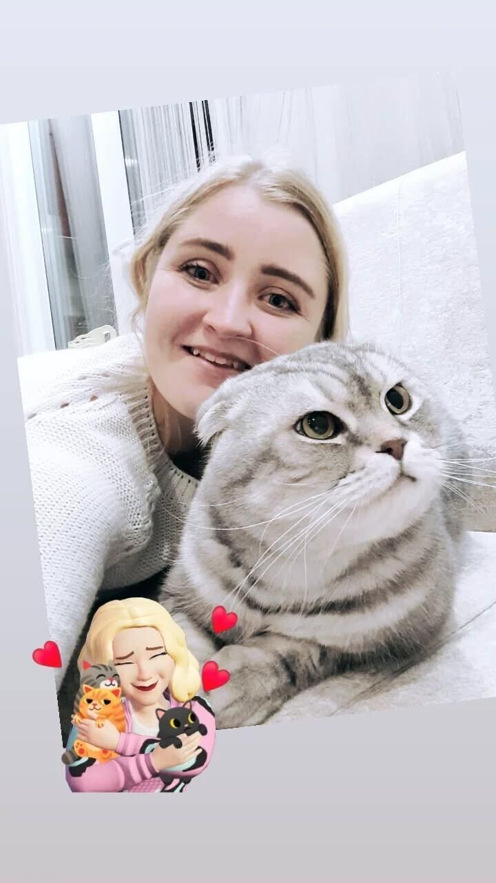 ���������� �����, ���� ������� ��������, 27 ���, ������������ ��� ������, ����� � ���������, c�������� ���������