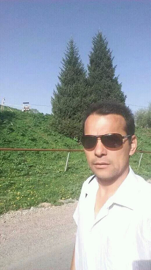  20315854  , 47 ,    