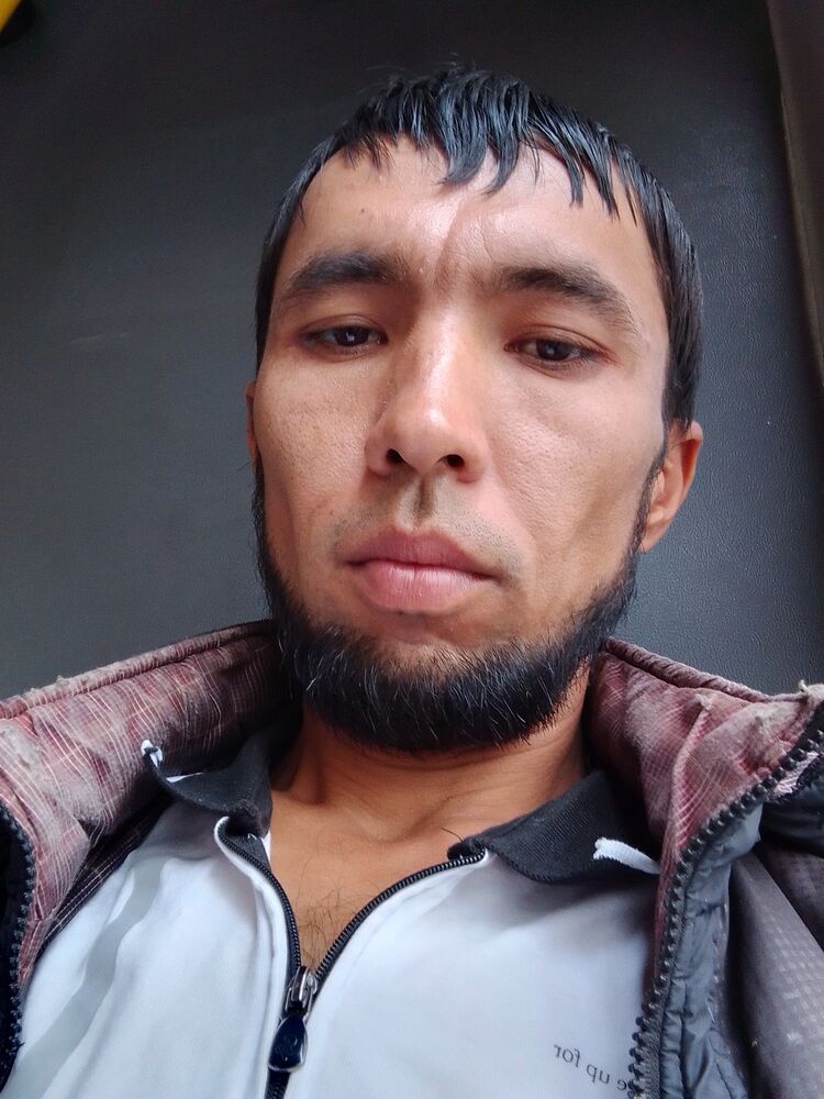  36356474  , 33 ,    