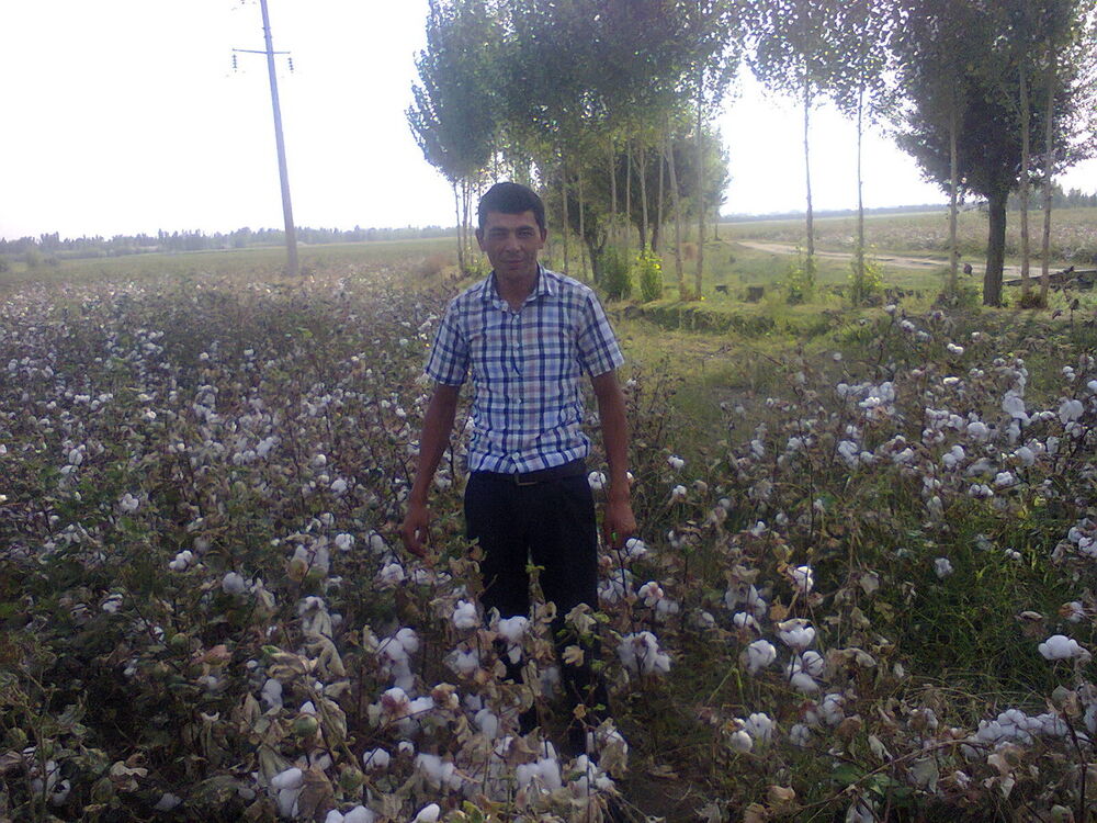 ���� 5309334 ������� Komiljon, 40 ���, ���� ���������� � ��������