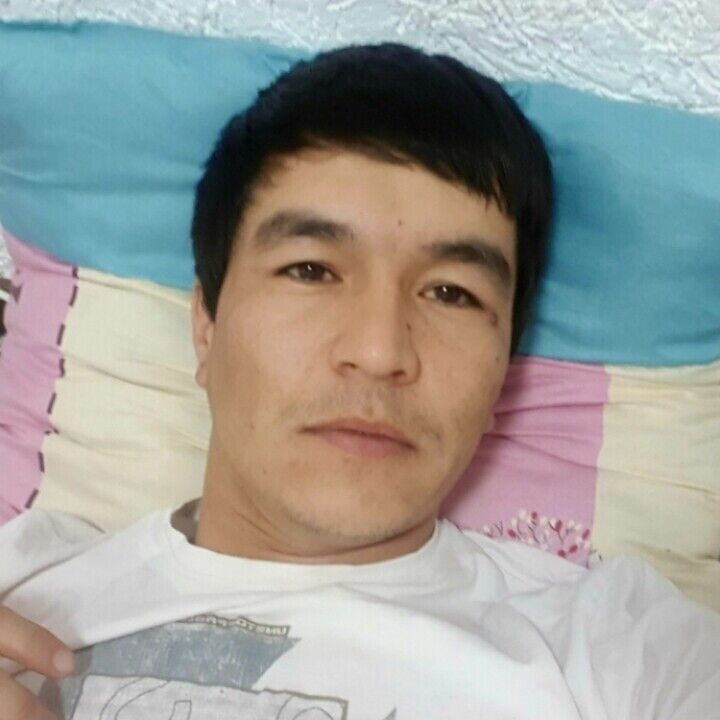 ���� 56336374 ������� ����, 33 ����, ���� ���������� � ������