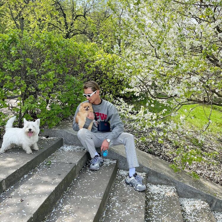 ���������� ������, ���� ������� Dimk, 27 ���, ������������ ��� ������, ����� � ���������