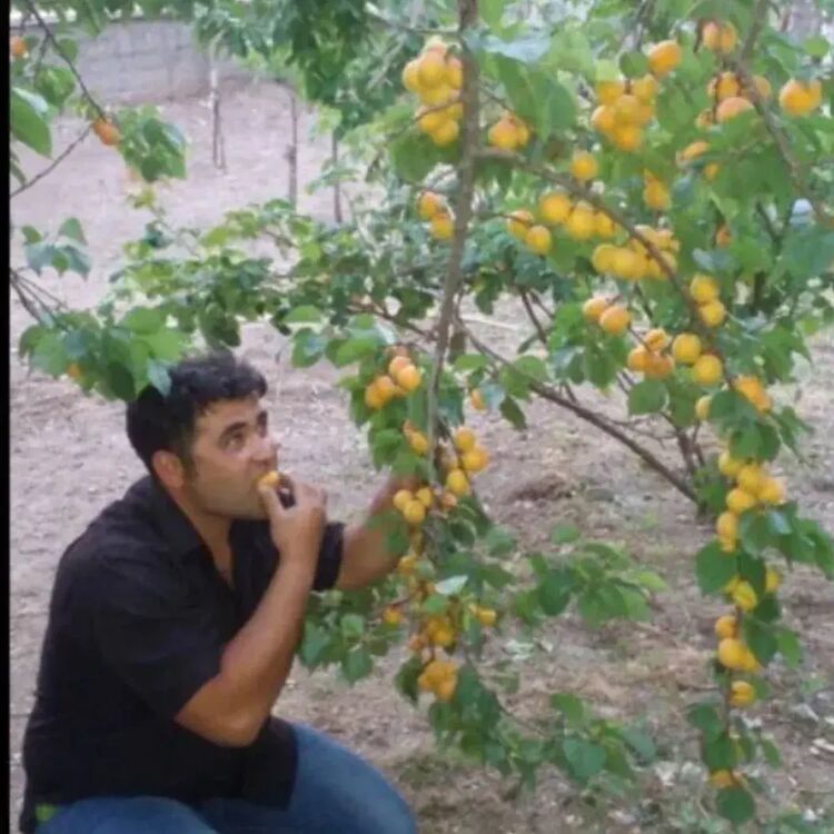  ,   Fatih, 39 ,   ,   