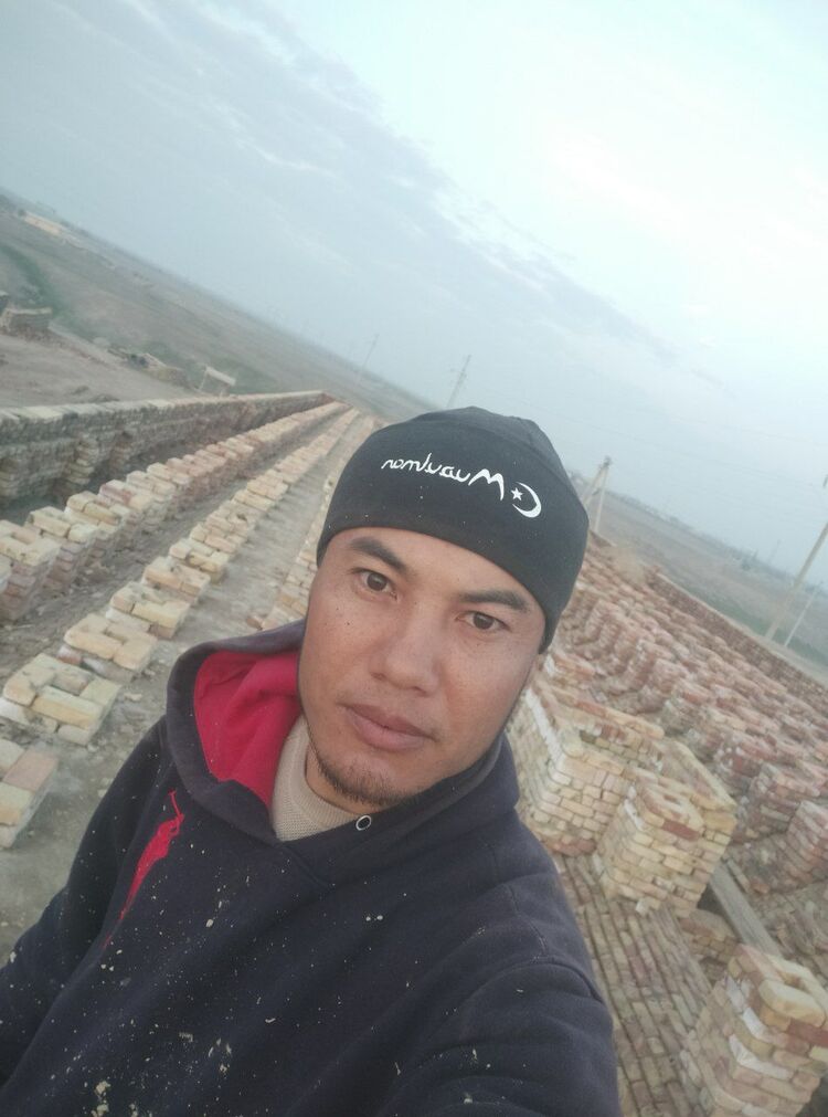 ���� 31229084 ������� ��������, 33 ����, ���� ���������� � ��������