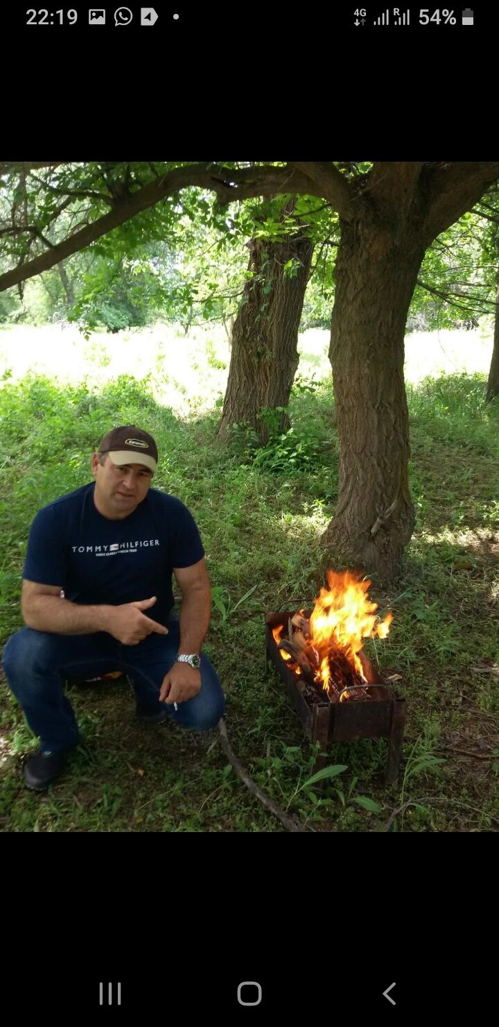 ���������� ����, ���� ������� �������, 44 ����, ������������ ��� ������, ����� � ���������