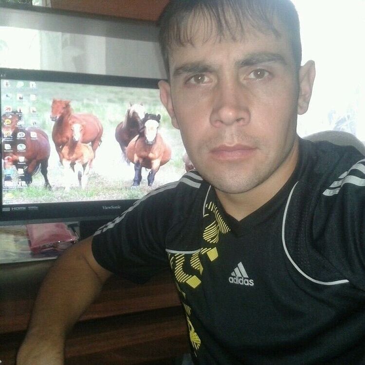  53026654  , 34 ,    