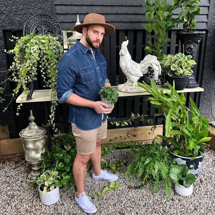 ���� 51165844 ������� ������, 38 ���, ���� ���������� � �������-��-����