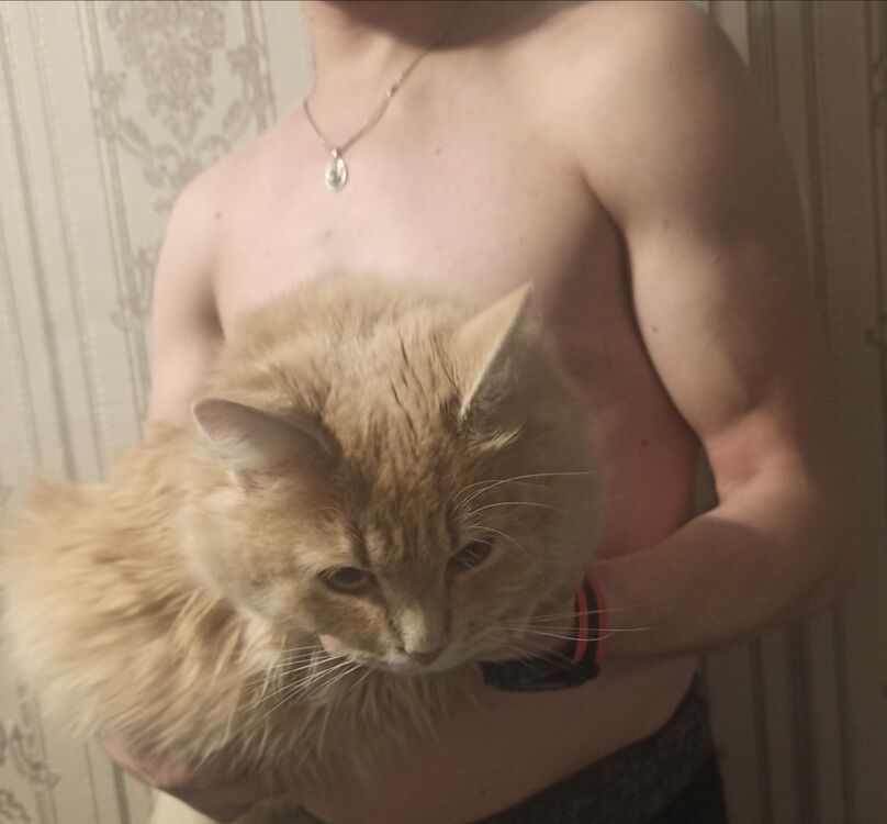 ���������� �����, ���� ������� ������, 35 ���, ������������ ��� ������, ����� � ���������