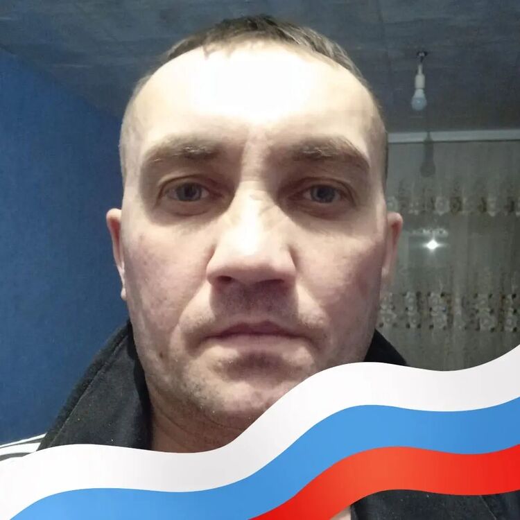  29328534  , 43 ,    