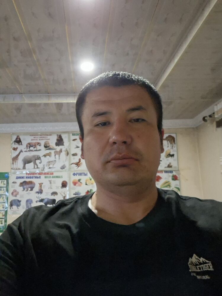 ���� 56252264 ������� ALISHER, 31 ���, ���� ���������� � �������