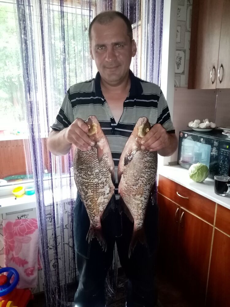 ���������� ������, ���� ������� �����, 48 ���, ������������ ��� c�������� ���������