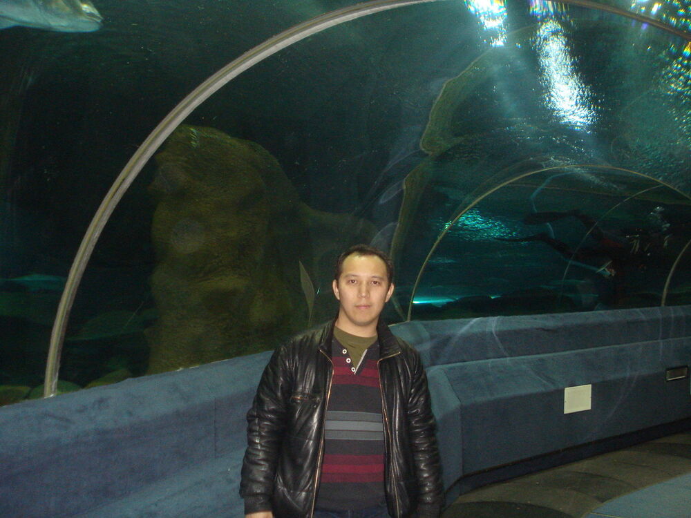  ,   Timur, 42 ,   