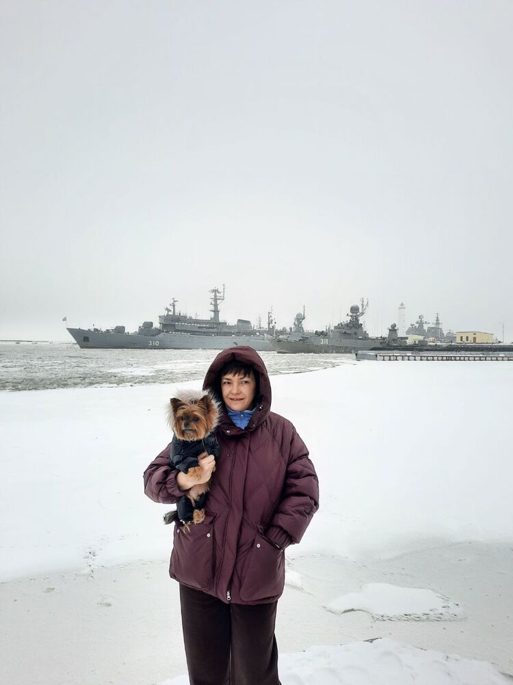 ���� 55350704 ������� �������, 53 ����, ���� ���������� � �����������