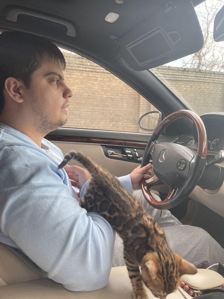  ,   , 34 ,   ,   