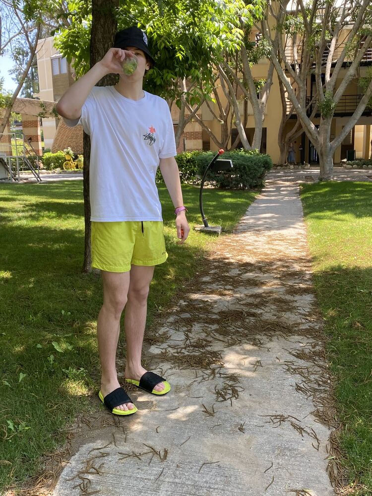 ���������� ������, ���� ����� �� �� ���, 24 ����, ������������ ��� ������, ����� � ���������