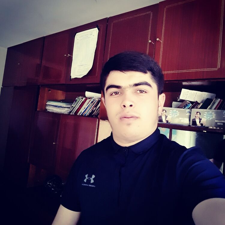  35079784  , 29 ,    