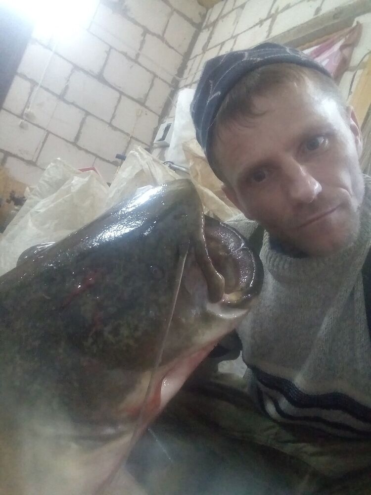  21715014  , 44 ,     