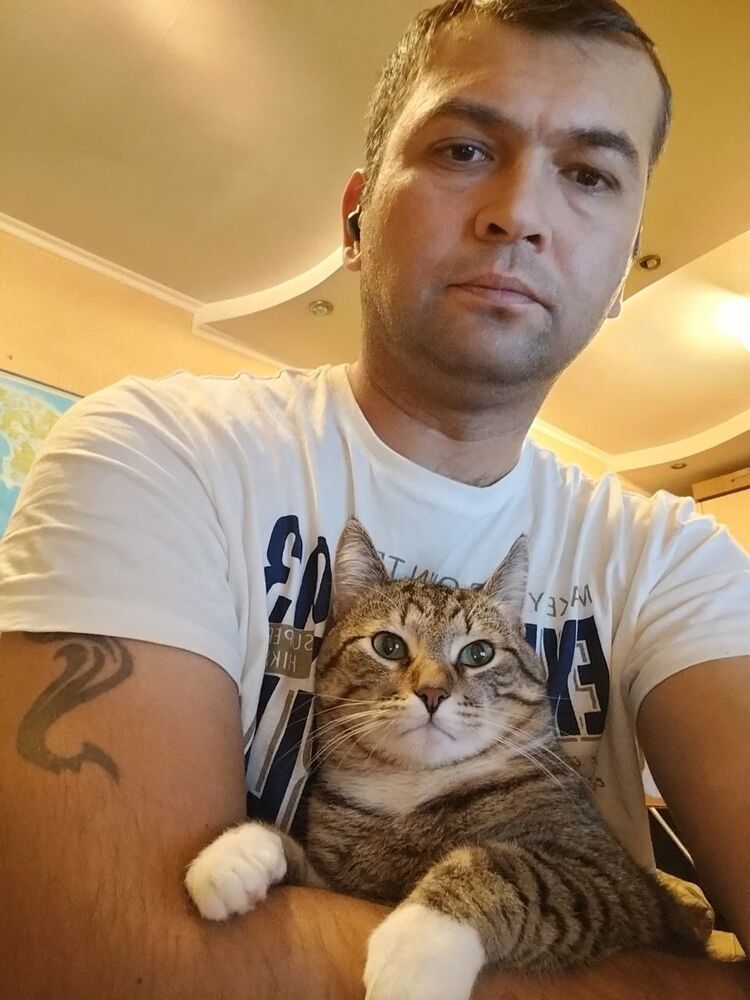 ���� 33961804 ������� ����, 40 ���, ���� ���������� � ������