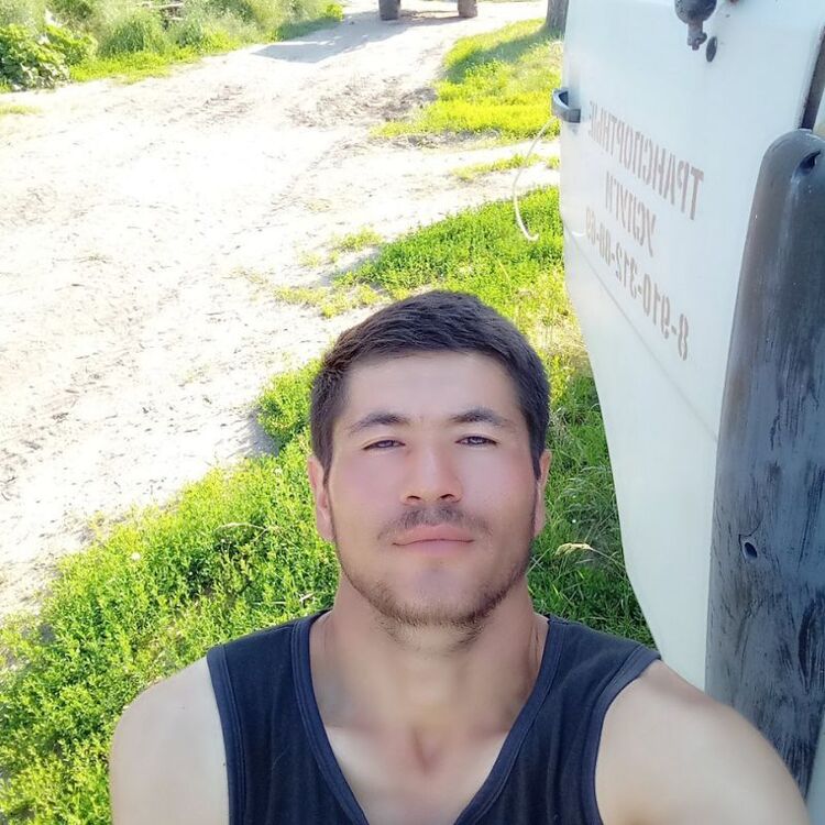  28297374  , 28 ,    