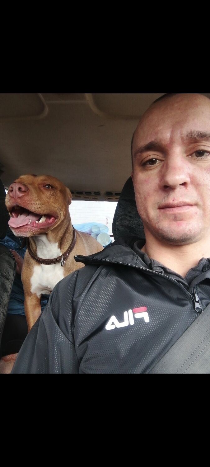 ���� 55151154 ������� �����, 37 ���, ���� ���������� � ���������