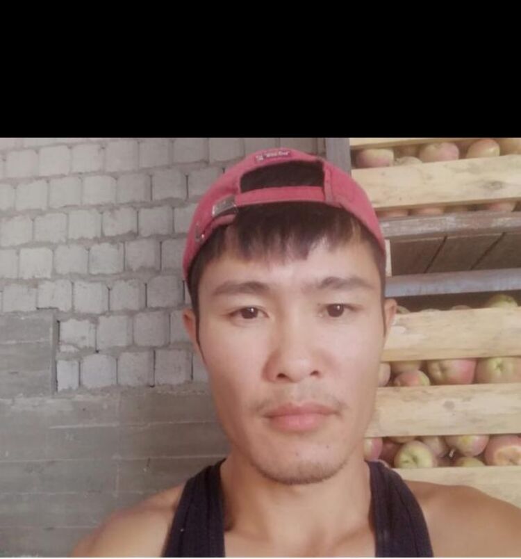  48294334  , 36 ,    