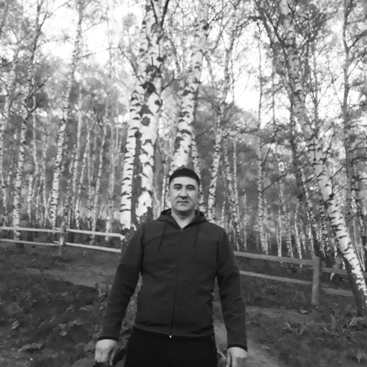 ���� 17663554 ������� �����, 38 ���, ���� ���������� � ������