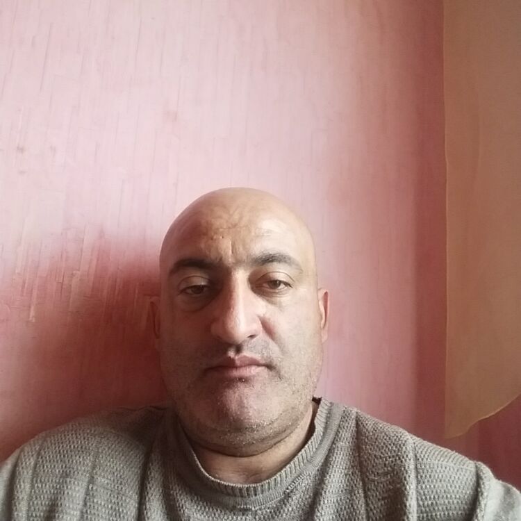  44245954  , 42 ,    