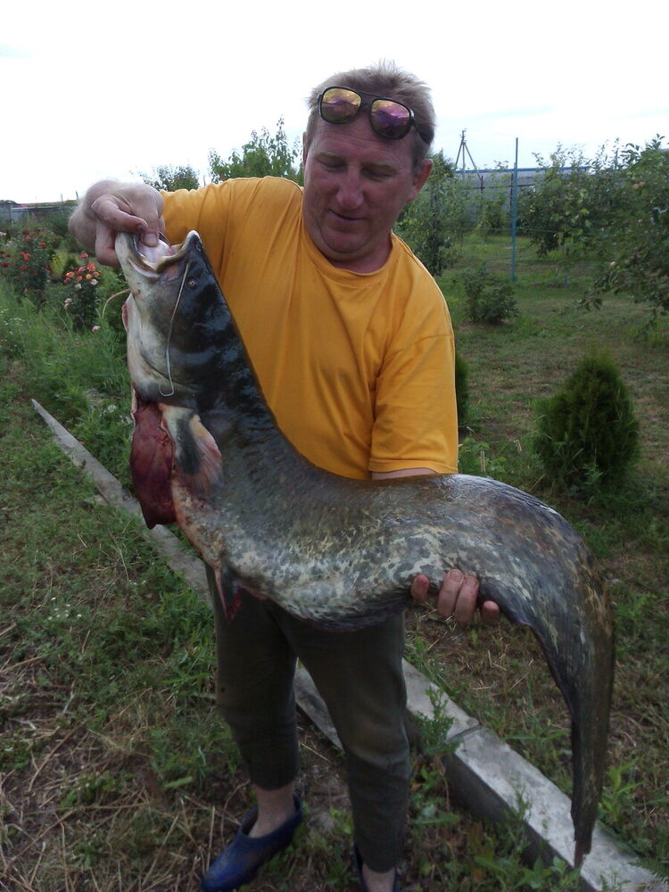 ���� 21124754 ������� �������, 56 ���, ���� ���������� � ��������