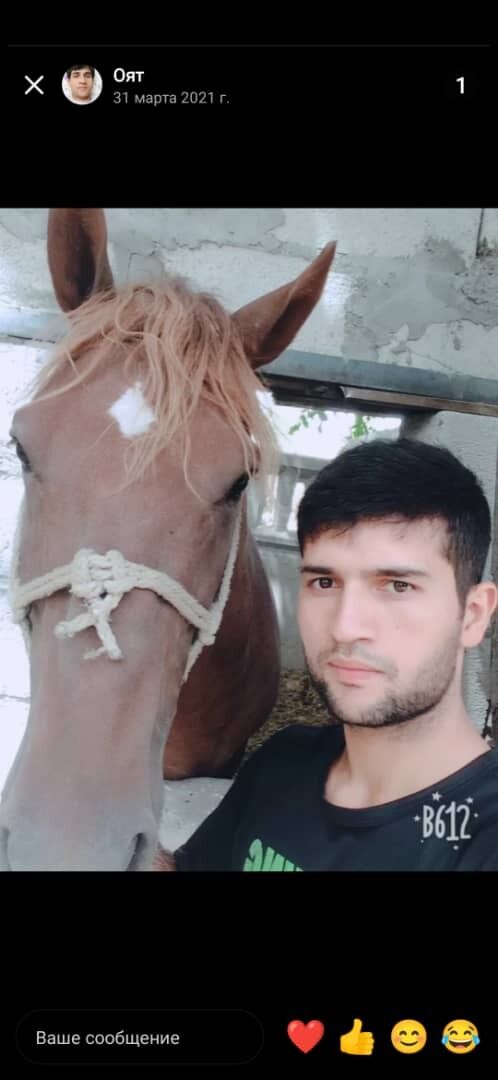 ���������� �����, ���� ������� ���, 35 ���, ������������ ��� c�������� ���������