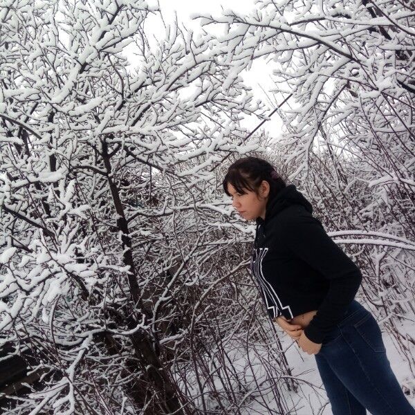 ���������� ������, ���� ������� �����, 23 ����, ������������ ��� ������, ����� � ���������