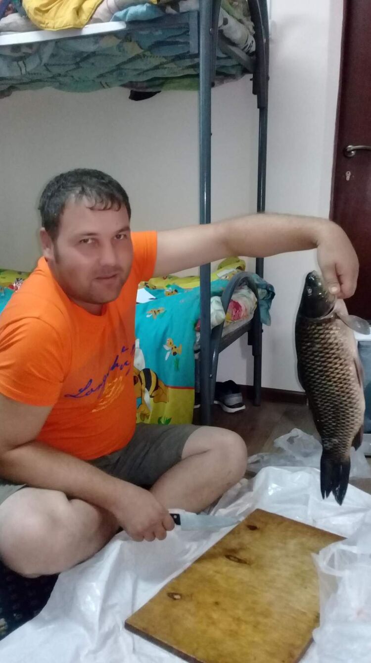  51576394  , 37 ,    -