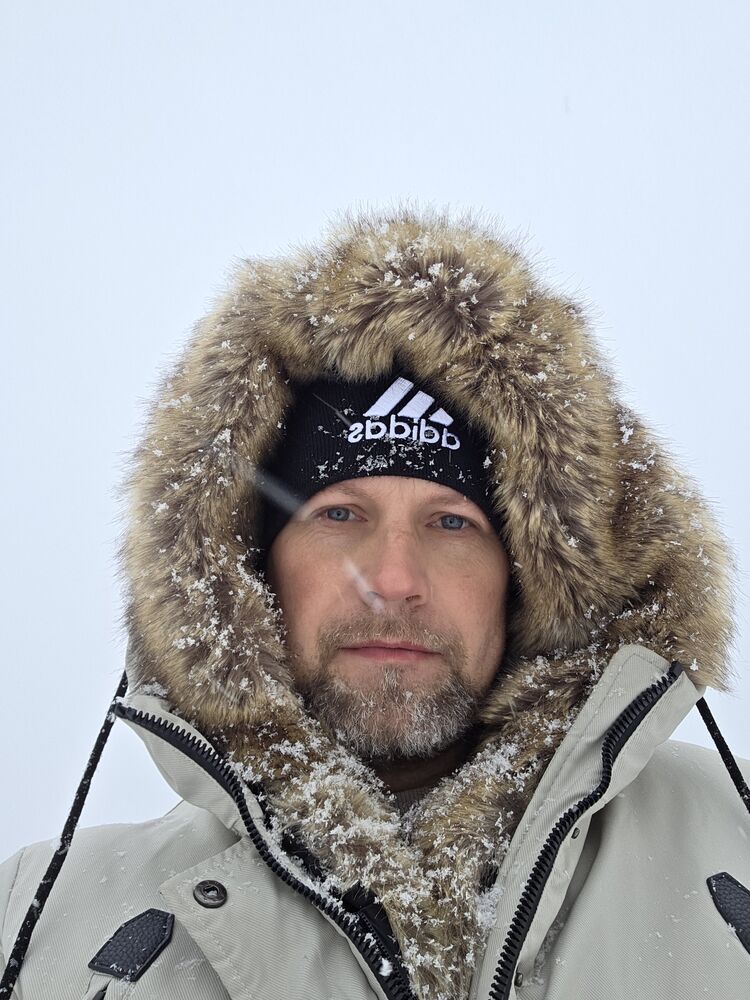 ���� 55184164 ������� �����, 40 ���, ���� ���������� � ������� ������