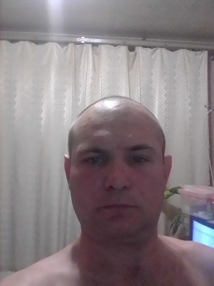  24147874  , 41 ,    