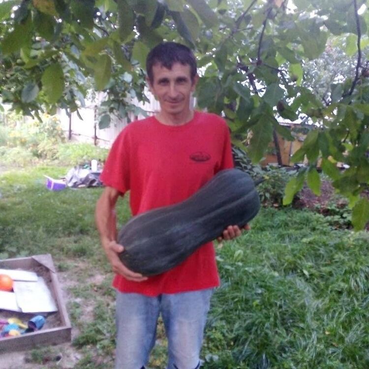  47111864  Viktor, 35 ,    
