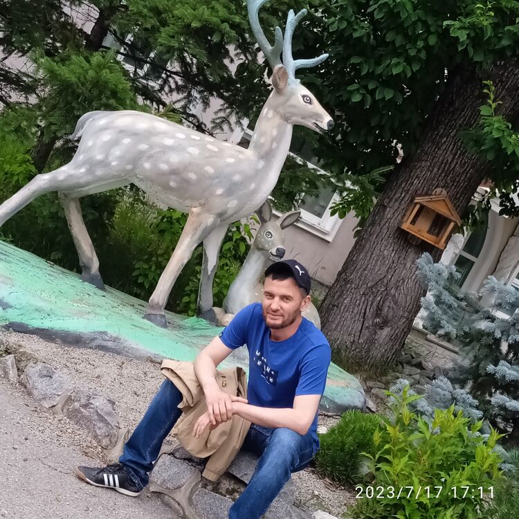  --,   , 41 ,   ,   
