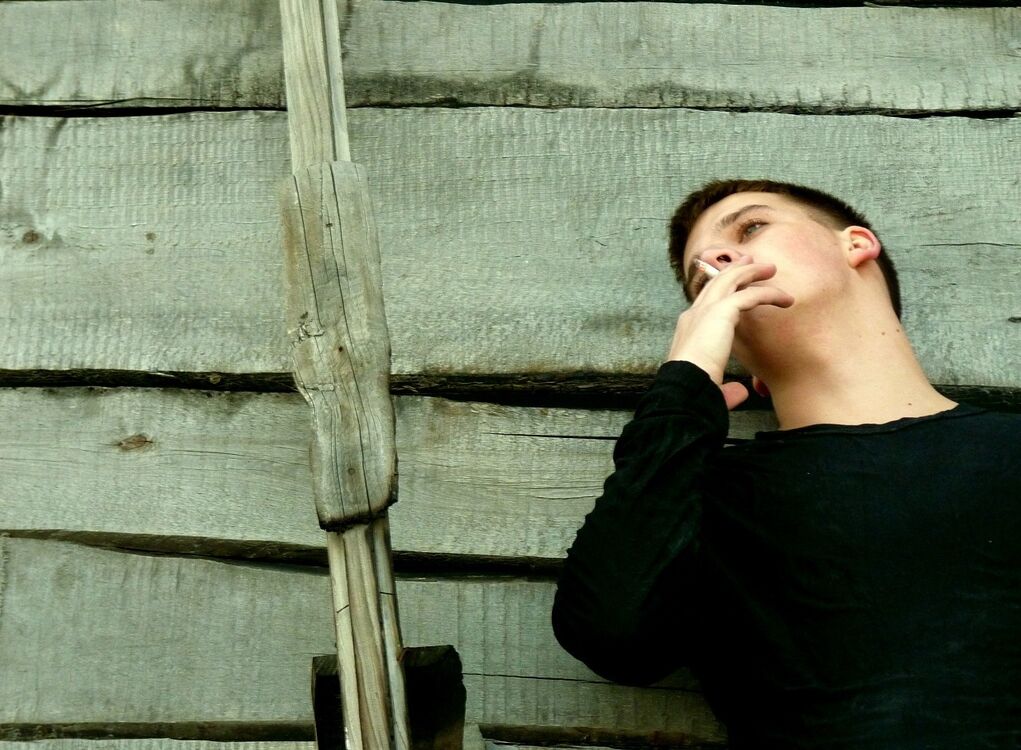 ���������� ���������, ���� ������� ����, 33 ����, ������������ ��� ������, ����� � ���������, c�������� ���������, ���������