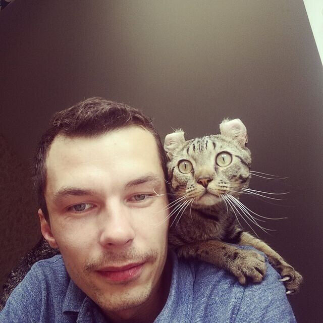 ���� 21295164 ������� ����, 34 ����, ���� ���������� � ���������