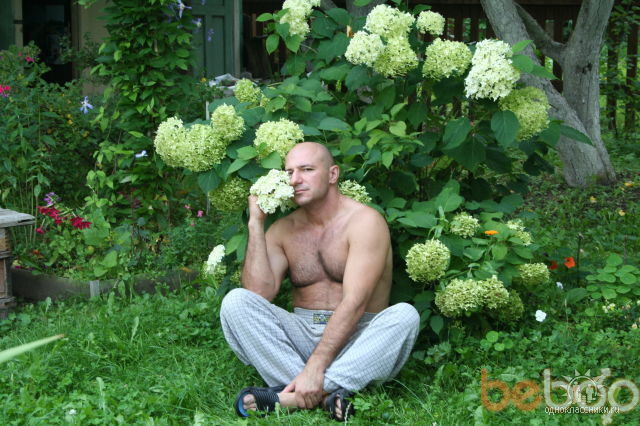 ���������� ������, ���� ������� Antarius44, 64 ����, ������������ ��� ����� � ���������, c�������� ���������