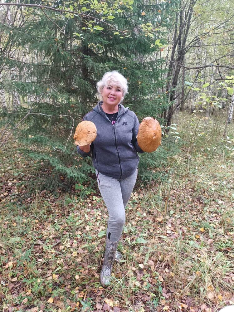 ���������� �����, ���� ������� �������, 60 ���, ������������ ��� c�������� ���������