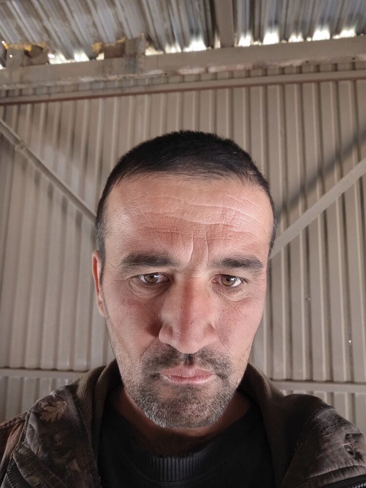  43478004  , 25 ,    