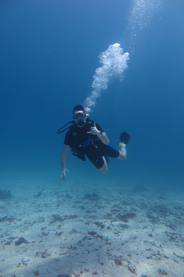 ���������� ������, ���� ������� ����, 31 ���, ������������ ��� ������, ����� � ���������