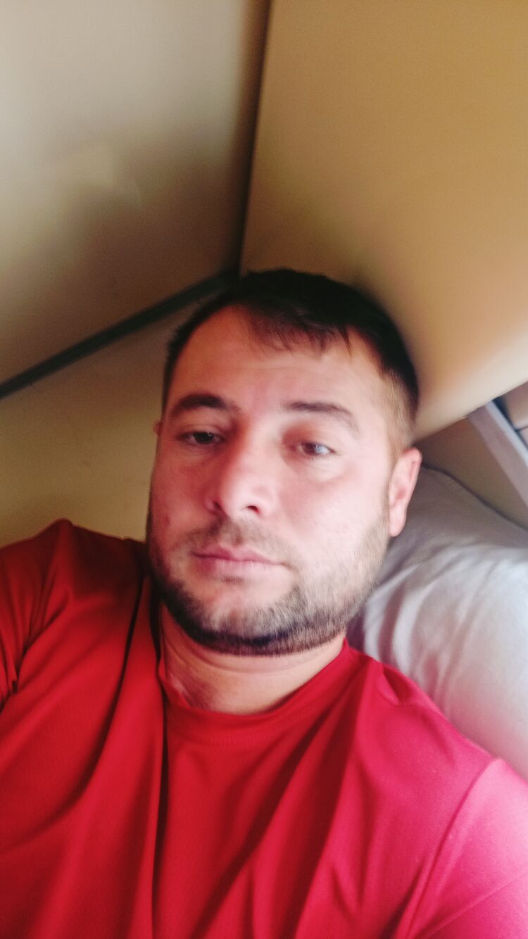  43167884  , 31 ,    
