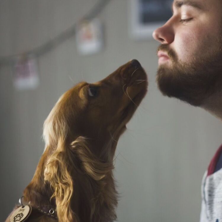 ���������� �����, ���� ������� �������, 34 ����, ������������ ��� ������, ����� � ���������