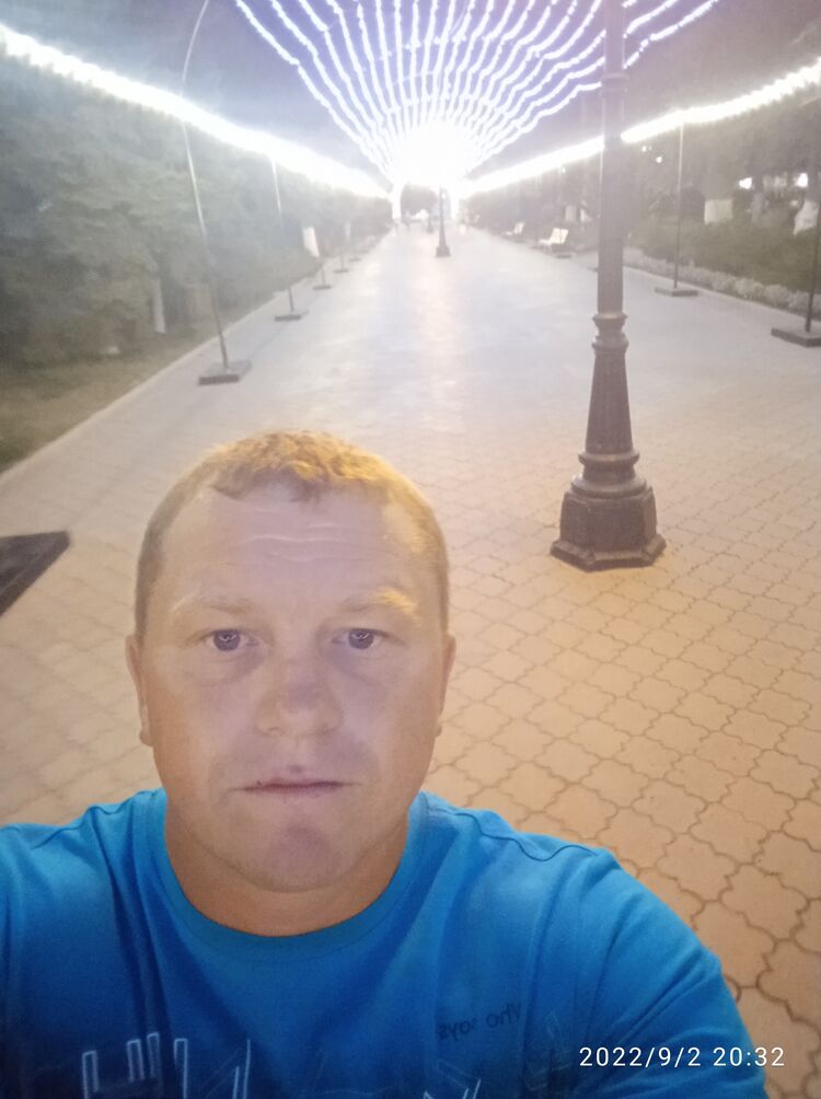  29033874  , 42 ,    